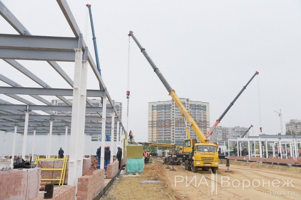 &laquo;По последнему слову техники&raquo;. В Воронеже открылась быстровозводимая больница с дельфином-топиаром