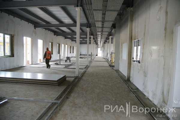 &laquo;По последнему слову техники&raquo;. В Воронеже открылась быстровозводимая больница с дельфином-топиаром