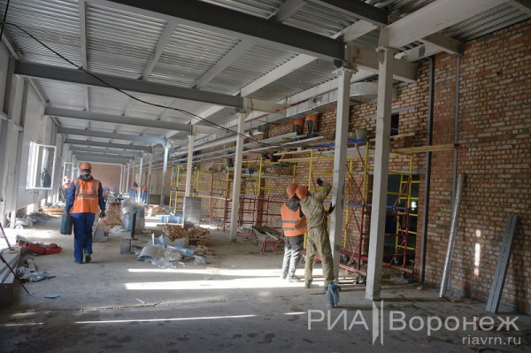 &laquo;По последнему слову техники&raquo;. В Воронеже открылась быстровозводимая больница с дельфином-топиаром