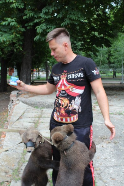 Кто устраивает возле цирка репетиции с крошечными медвежатами?