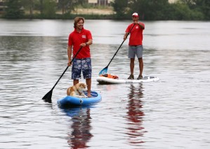 Сапсёрфинг в Воронеже: как освоить новый спорт на воде
