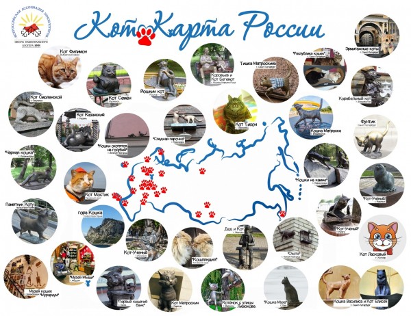 Воронежский Котёнок с улицы Лизюкова попал на &laquo;Котокарту России&raquo;