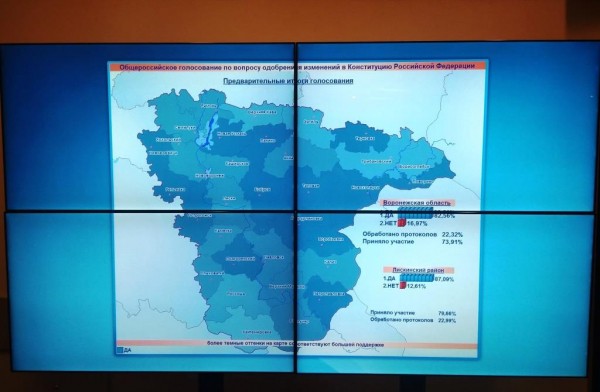Озвучены первые итоги голосования воронежцев по поправкам в Конституцию