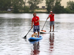 Сапсёрфинг в Воронеже: как освоить новый спорт на воде
