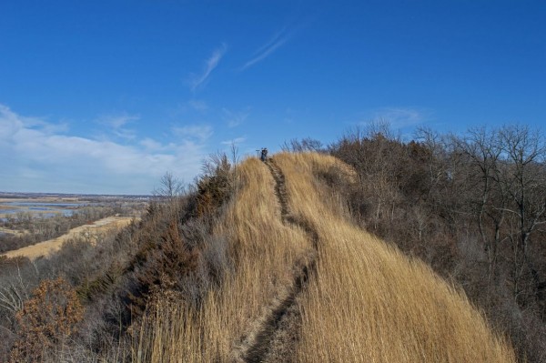 В Воронежской области создадут природный заказник на 800 га
