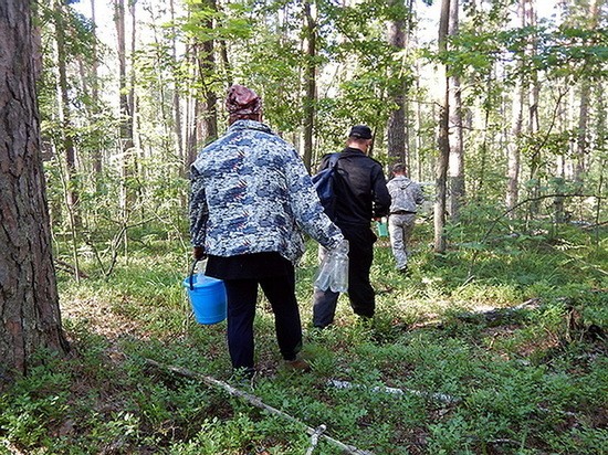 Воронежцев наказали за сбор черники в заповеднике