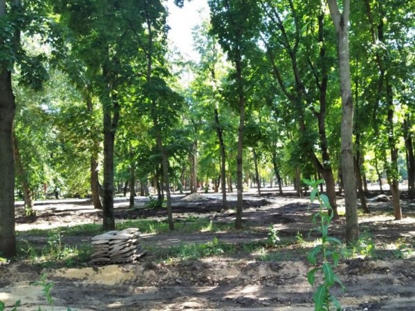 Парк &laquo;Орлёнок&raquo; оброс сорняком и недостроенными объектами