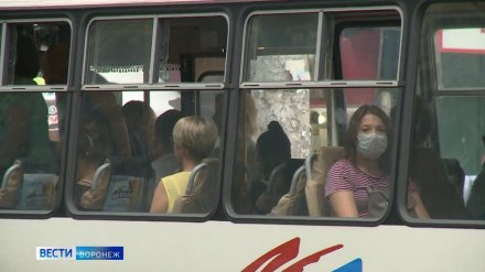 Воронеж занял последнее место в рейтинге самых вежливых городов России