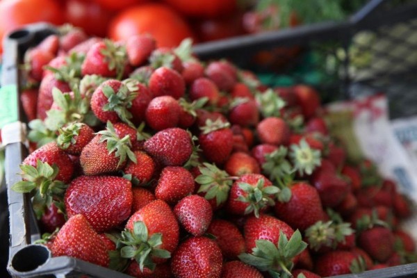 Почему в Воронеже продают безвкусную клубнику