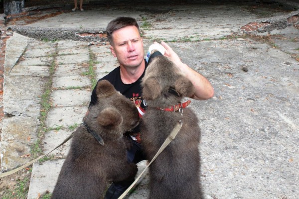 Кто устраивает возле цирка репетиции с крошечными медвежатами?