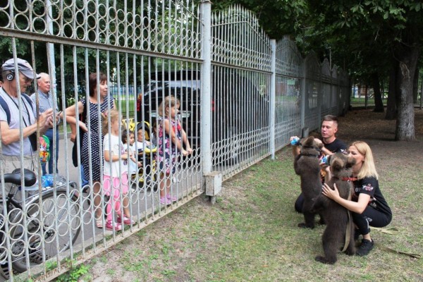 Кто устраивает возле цирка репетиции с крошечными медвежатами?