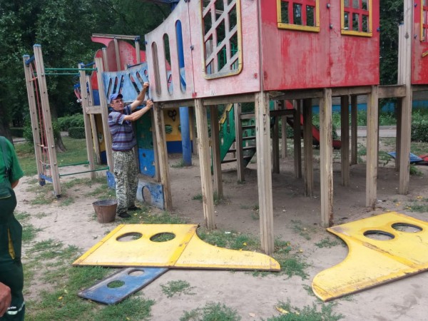 Лебединое озеро в Воронеже осушат и лишат живущих там черепах