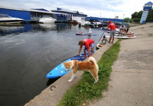 Сапсёрфинг в Воронеже: как освоить новый спорт на воде
