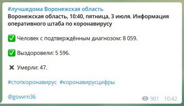 В данных о выздоровлениях воронежцев от COVID-19 замечено расхождение