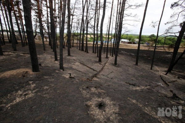 Ущерб от крупных пожаров в Павловском и Лискинском районах составил более 9 млн рублей