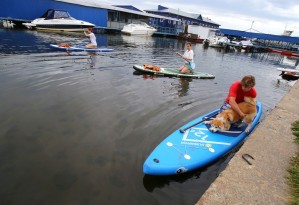 Сапсёрфинг в Воронеже: как освоить новый спорт на воде
