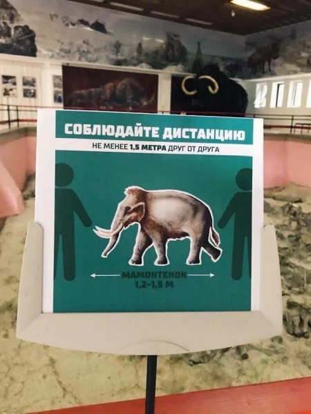 На дистанции с мамонтёнка и в маске. Открылся воронежский музей &laquo;Костёнки&raquo;