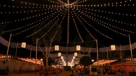 В воронежском парке &laquo;Дельфин&raquo; развесят гирлянды и установят свадебную карусель