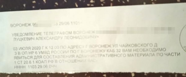 Митинговавших против поправок в Конституцию воронежцев оштрафовали&nbsp;