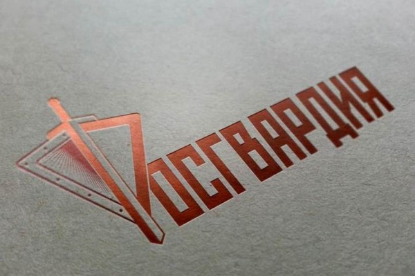 Торговля оружием стоила работы сотруднице воронежской Росгвардии