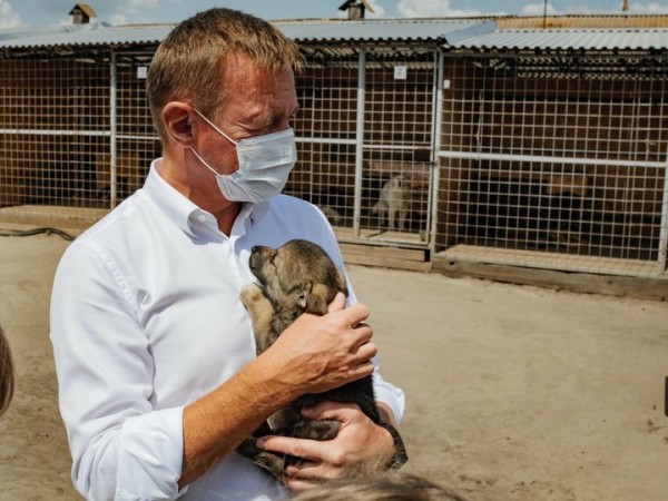 Почему не все губернаторы Черноземья пройдут стресс-тест