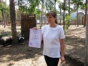 Букет невесты поймал козёл: в Воронеже состоялась первая поросячья свадьба