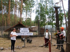 Букет невесты поймал козёл: в Воронеже состоялась первая поросячья свадьба