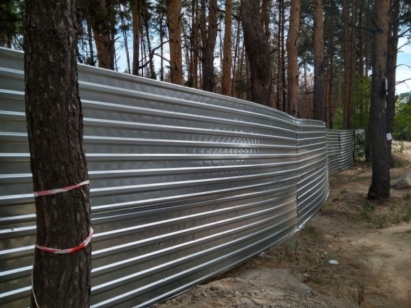 Губернатор прокомментировал ситуацию со стрельбой в Северном лесу
