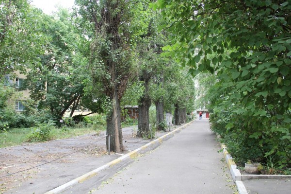 Жизнь в престижном центре &mdash; посмотрим 15 фото, после чего вы не захотите тут оставаться