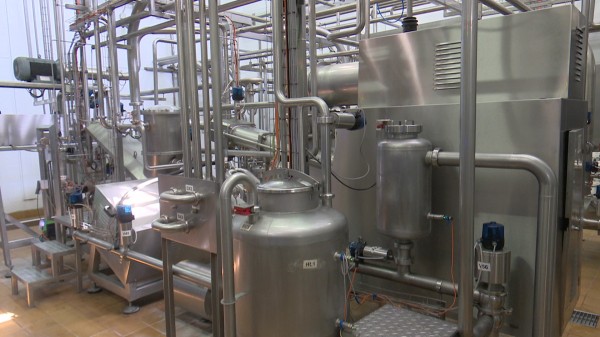 Производство популярного воронежского сливочного масла увеличат в два раза