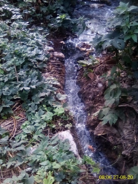 Экологическая катастрофа на окраине Воронежа &mdash; как жители Зареченского годами дышут открытой канализацией и нигде не найдут правду