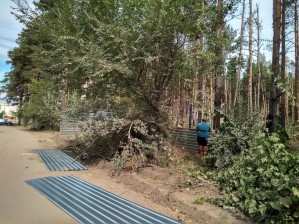 Часть Северного леса в Воронеже огородили длинным забором