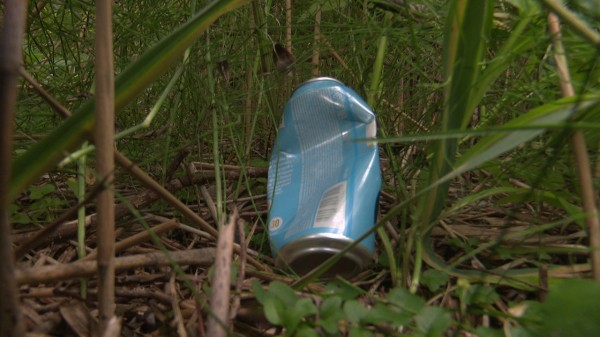 Уникальный пруд с лотосами под Воронежем начали превращать в свалку