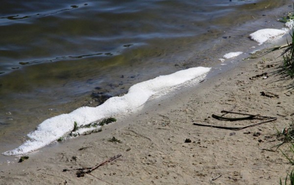 Санитарные врачи назвали пляжи, где можно подхватить опасную болезнь