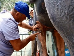 Скульптуре &laquo;Орленка&raquo; вернут давно утерянный элемент