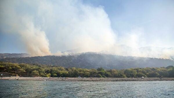 Туристка рассказала, как спасалась во время лесного пожара в Анапе