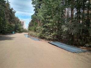 Часть Северного леса в Воронеже огородили длинным забором