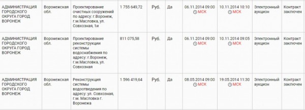 Экологическая катастрофа на окраине Воронежа &mdash; как жители Зареченского годами дышут открытой канализацией и нигде не найдут правду