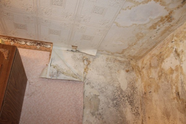 В Воронеже пенсионерка из-за дырявой крыши многоэтажки потеряла покой