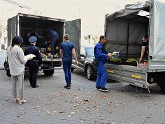 В Воронеже продолжаются рейды по пресечению незаконной торговли