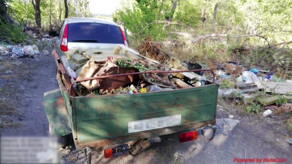 Мусорящих жителей воронежского райцентра поймают с помощью тайных фотоловушек