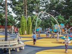 В Воронеже начинается общественное обсуждение концепции реконструкции парка &laquo;Танаис&raquo;