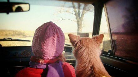 Машина с 9-летней девочкой перевернулась на трассе в Воронежской области