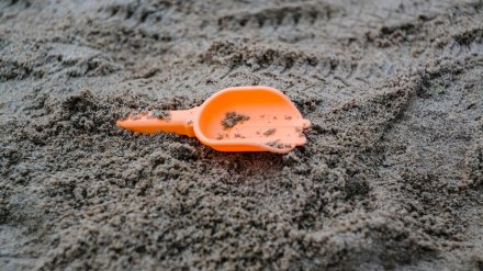 Воронежский СК проверит сообщения об избитом воспитателем детсада ребёнке