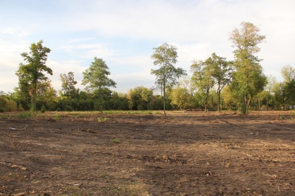 В Левобережном районе остановилось благоустройство сквера по федеральной программе: смотрим, что сейчас там происходит