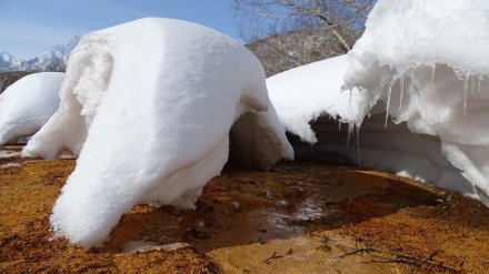 Синоптики дали прогноз на осень и зиму в Воронеже