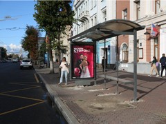 В Воронеже завершается обустройство новых остановок &laquo;Театр кукол&raquo; и &laquo;Петровский сквер&raquo;