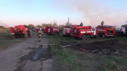 Вспыхнувшая сухая трава и ветер привели к крупному пожару в воронежском селе 