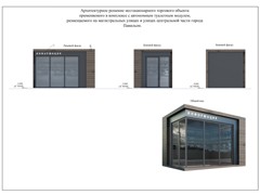 Воронеж готовится к утверждению новой Схемы размещения нестационарных торговых объектов в 2021 году