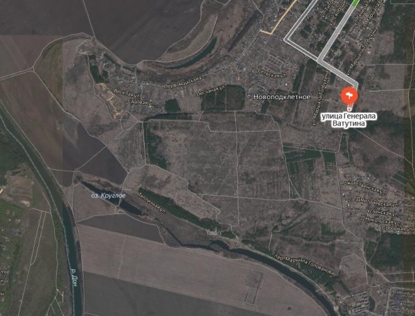 Под Воронежем сгорел лес Виталия Польщикова